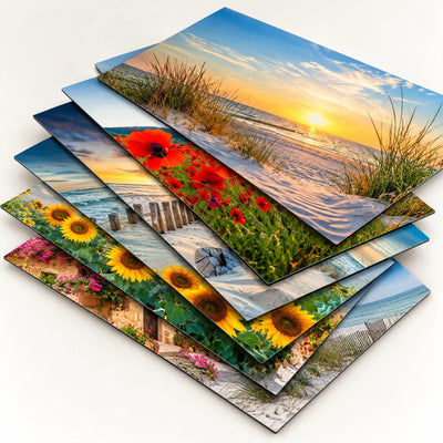 Inductiebeschermer Zomer Collectie
