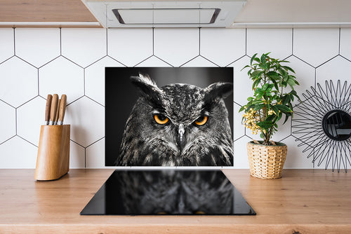 Spatscherm Eagle Owl