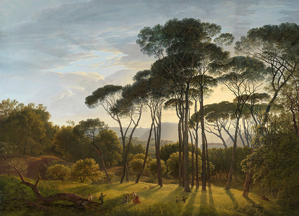 Inductiebeschermer - Italiaans Landschap