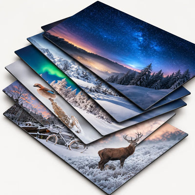 Inductie beschermer Winter