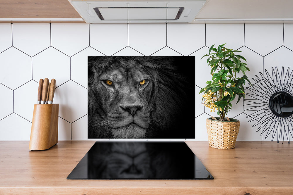 Spatscherm Dark Lion