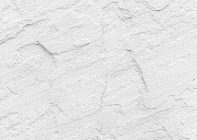 Inductiebeschermer - Gestucte Witte Muur