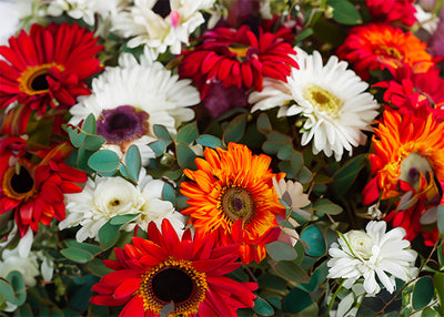 Inductiebeschermer - Red and White Flowers