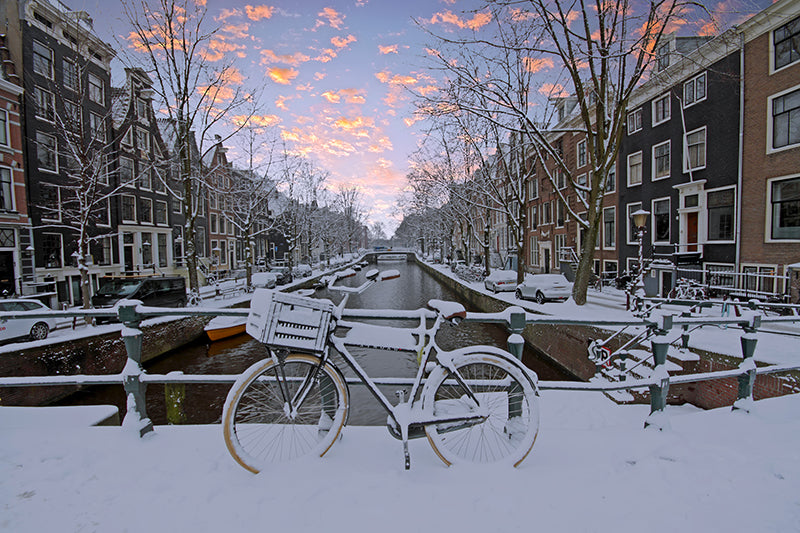 Inductiebeschermer - Amsterdamse Wintergracht