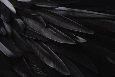 Inductiebeschermer - Dark Leaves