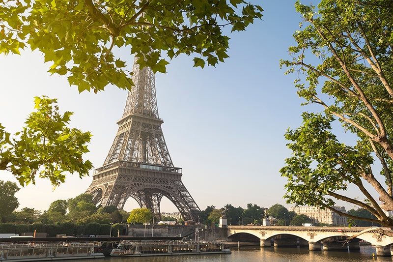 Inductiebeschermer - Eiffeltoren