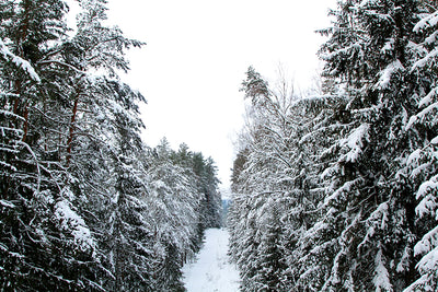 Inductiebeschermer - Snow road