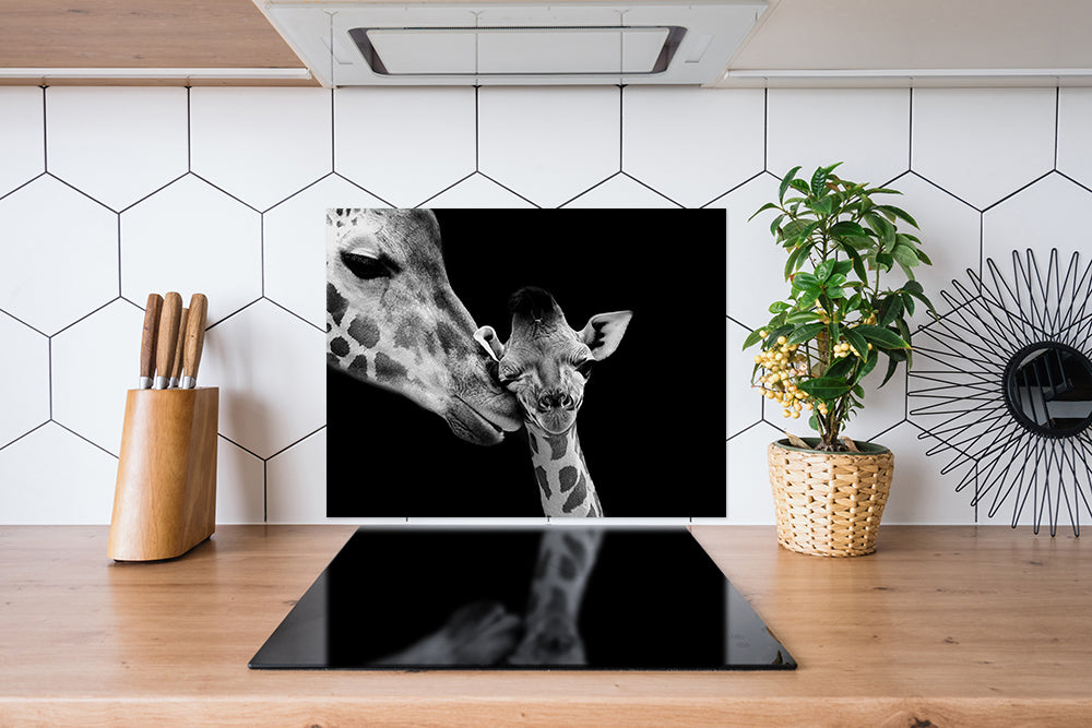 Spatscherm Twee Giraffen