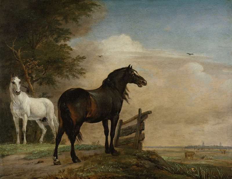 Inductiebeschermer - Schilderij Twee Paarden
