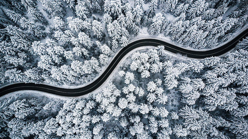 Inductiebeschermer - Winter Road