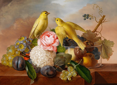Inductiebeschermer - Yellow Birds