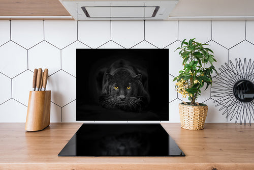 Spatscherm Zwarte Panter